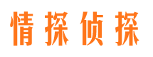 当阳市侦探公司